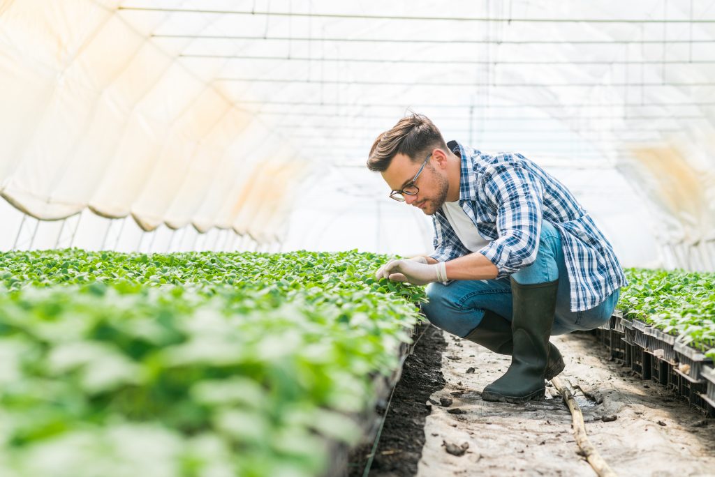 Agriculture